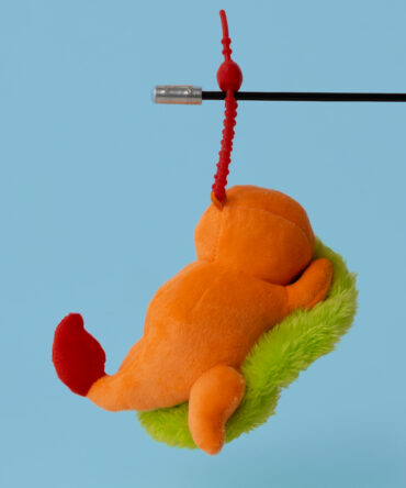 Sleeping Charmander Plushie Keychain