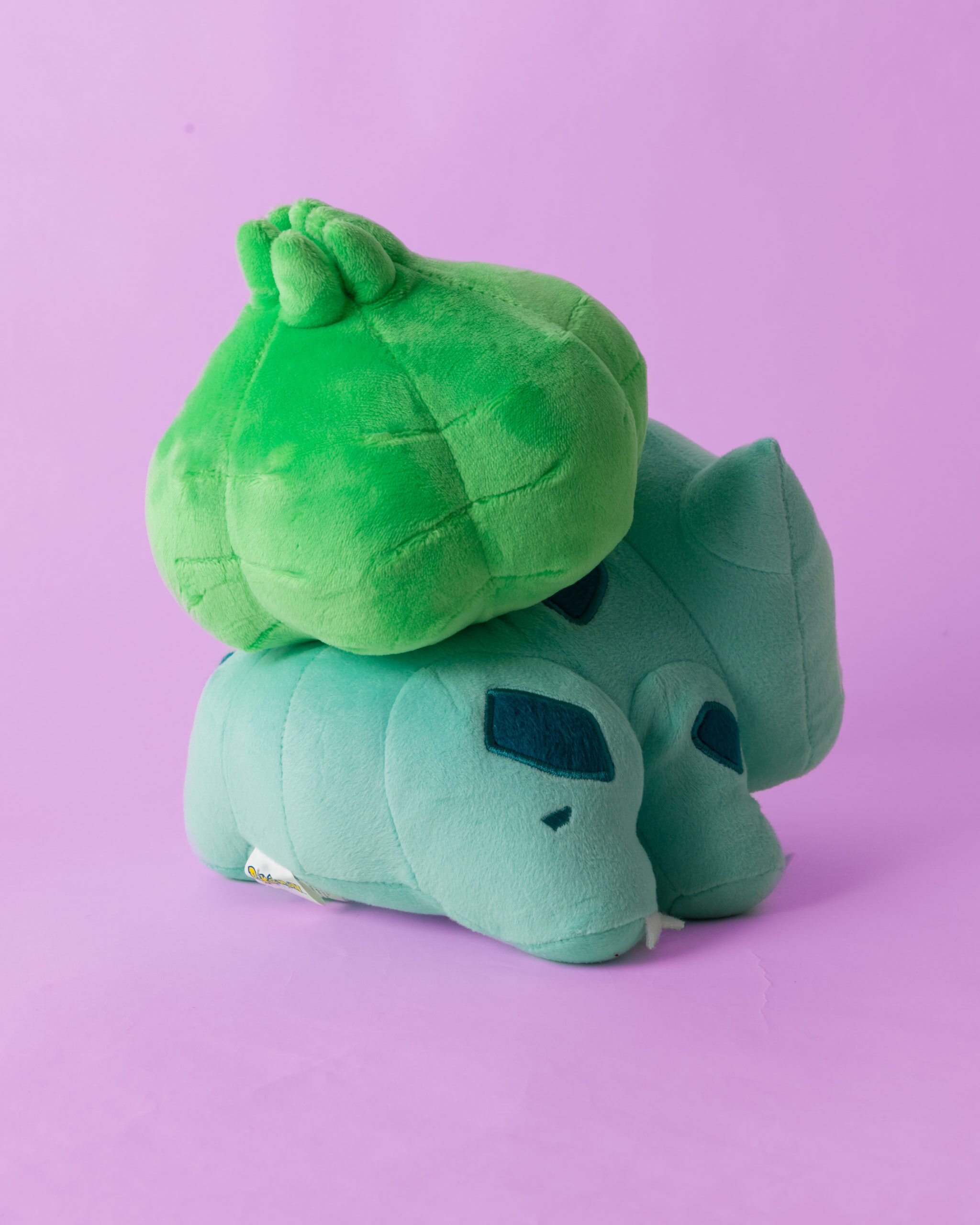 Bulbasaur Sof tToy - Image 2